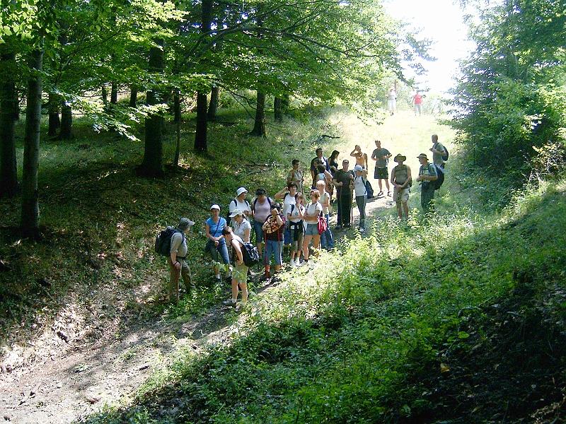 20100814 032.jpg